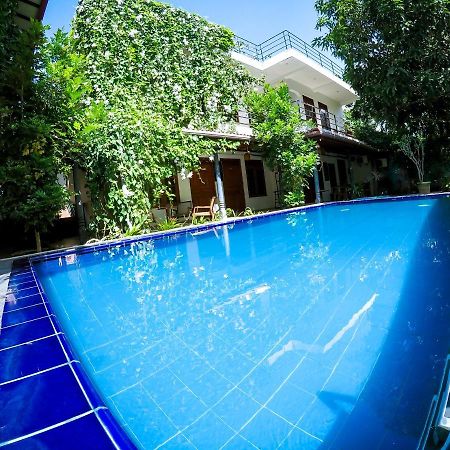 Mirissa Blue Whale Holiday Hotel Екстер'єр фото