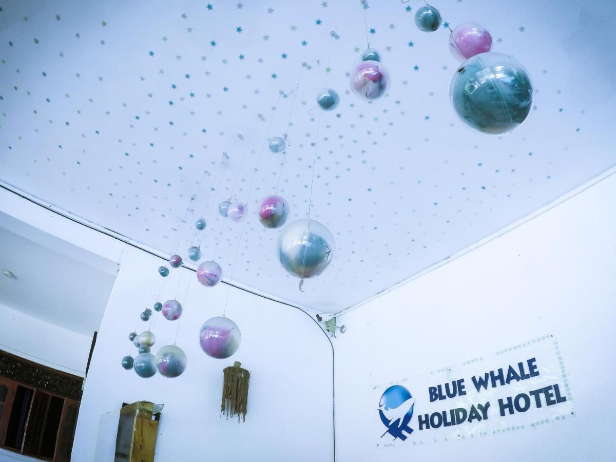 Mirissa Blue Whale Holiday Hotel Екстер'єр фото